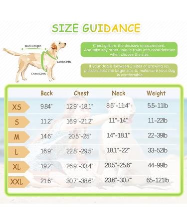 Buy Hjyokuso Dog Life Jacket - Adjustable Reflective & Buoyant Swimming Aid for Small Dogs (16.9-21.2) | Ideal for Boating & Canoeing - Buy Online on GoSupps.com