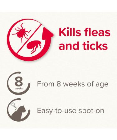 Beaphar FIPROtec Spot-On for Cats & Kittens from 8 Weeks | Kills Fleas & Ticks | Vet Strength Treatment | Easy to Apply | 4 Pipettes - Buy Online on GoSupps.com