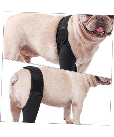 GANAZONO Dog Hindleg Cover Dog Knee Leg Canine Rear Hock Hind Leg Mesh Fabric Comfortable M 1 - Buy Online on GoSupps.com