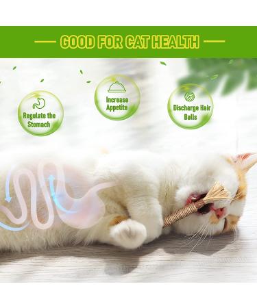 BAWAN Catnip & Silvervine Toys for Cats | Interactive Teething Chew Toys for Indoor Cats | Dental Toy for Aggressive Chewers | 3PCS - Buy Online on GoSupps.com