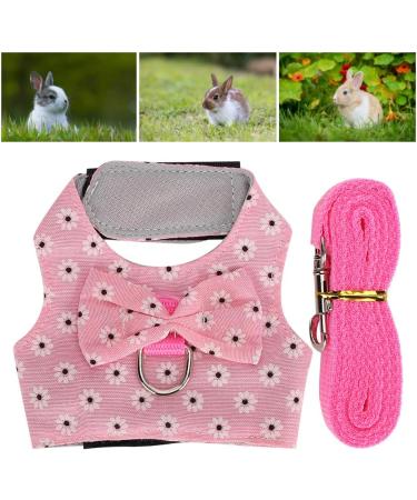Qinlorgon Hamster Leash & Harness | Durable Small Animal Accessories for Rabbits & Pets | International Shipping Available - Buy Online on GoSupps.com