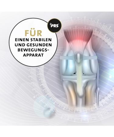 Peticare Joint Powder for Horses | Joint & Tendon Supports Cartilage | Natural Ingredients for All Ages & Ponies | with MSM & Green Mold | petHorse Health 4602 - Buy Online on GoSupps.com