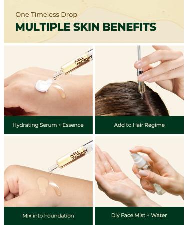 Glam Up x GD11 Hemp & Hyaluronic Acid Anti-Aging Serum 1.18 Fl Oz - Hydrating Brightening Facial Serum with Vitamin Stem Cells - Pack of 1 - Buy Online on GoSupps.com