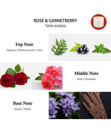Scented Rose Berry Mother's Day Candle | Large 3 Wick 14.5oz Soy Candle | 125h Burn Time | Aromatherapy for Stress Relief, Meditation, Yoga | Gifts for Women, Birthday - Buy Online on GoSupps.com