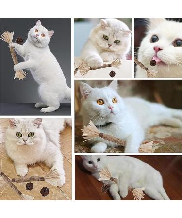 Organic Cat Mint Sticks - 6PCS Dental Toys for Cats | Chew & Clean Cat Sticks | Kaust Sticks for Healthy Teeth - Buy Online on GoSupps.com