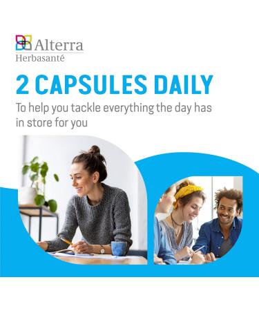 Alterra Cerebromed |Brain Energy and Focus Supplement | Helps Improve MEMORYBRAIN ACTIVITY focus & cognitive function| Ashwagandha Ginkgo biloba & Megnesium stearate vegetable Capsules - 60 Caps - Buy Online on GoSupps.com