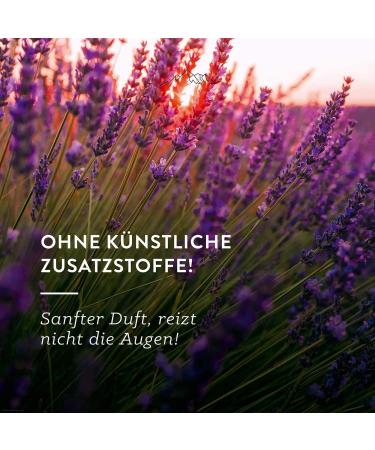 Organic Air Spray with Lavender Eucalyptus & Alpine Pine - 100ml Natural Room Fragrance | Eco-Friendly Essential Oils - Buy Online on GoSupps.com