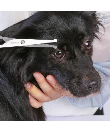 Professional Stainless Steel Dog Cups & Eye Cutter for Dogs and Cats - Fello Care Tools 17x6.6 cm - Buy Online on GoSupps.com