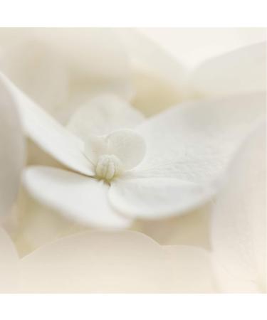 Buy Olay Sensitive Moisture Unscented Body Wash - 364ml | Gentle Hydration for All Skin Types - International Shipping - Buy Online on GoSupps.com