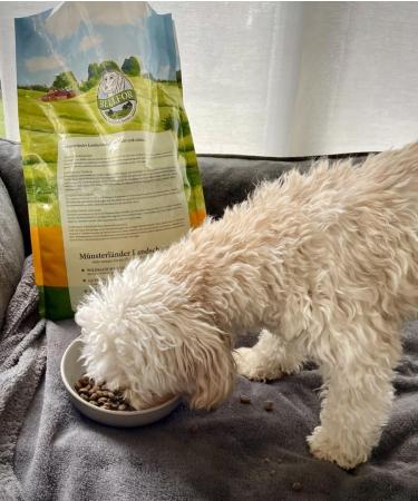 Bellfor - Dry food for puppies - Landgut-Schmaus Junior grain-free with insect protein - Hypoallergenic food for dogs (7.5) - Buy Online on GoSupps.com