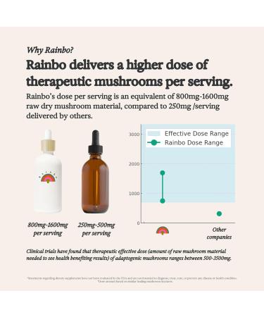 Rainbo - 11:11 Multi Mushroom Tincture - 11-in-1 Dual Extract Mushroom Blend - Comprehensive Immune Support Brain Support Liquid Lion's Mane & Turkey Tail Vegan Non GMO 3.4 fl oz Alcohol Based - Buy Online on GoSupps.com