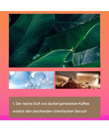  Generisch Batanaa Hair Cream with Batanaa Oil Non-Greasy 120 ml Close and Light Volume of Ha-ir Mask with Natural Plant Extracts for Deep Conditioning - Buy Online on GoSupps.com