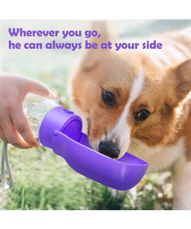 Peteast Foldable Dog Drinking Bottle | Dishwasher-Safe | Portable & Exhaustion-Proof for Hiking | Perfect for Dogs & Cats - Roland Purple - Buy Online on GoSupps.com