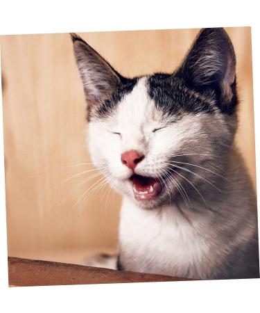 WOONEKY 4pcs Pet Toothbrush Dog Toothbrushes Dog Plaque Tools Pet Cleaning Brush Pet Toothpaste Puppy Abs - Buy Online on GoSupps.com