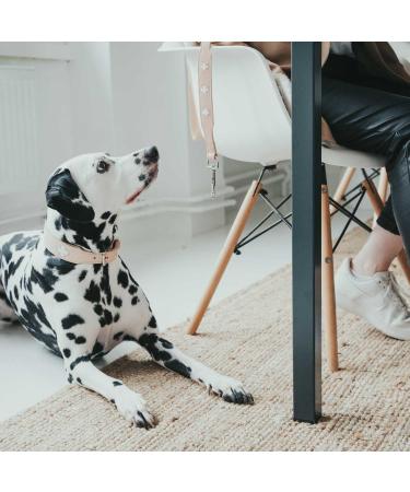 HUNTER SWISS Leather Dog Collar - High Quality Natural/Beige XS (32) with Swiss Cross | International Shipping - Buy Online on GoSupps.com