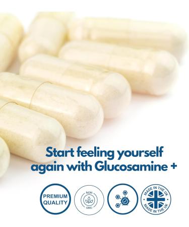 Joint Care Supplement - Glucosamine and Chondroitin High Strength Complex with MSM, Turmeric, Vitamin C, Boswellia, Black Pepper - 60 Capsules - UK Made by Nutripact - Buy Online on GoSupps.com