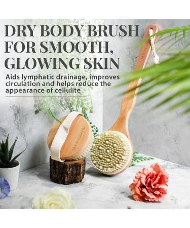 Vegan Dry Brushing Body Brush and Back Scrubber Set for Radiant Skin by Lily England - Buy Online on GoSupps.com