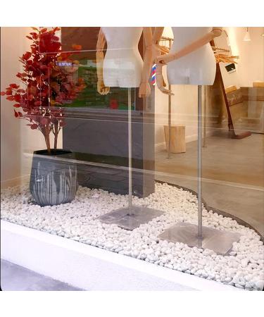 LONTOM 2.2lb White Pebbles Natural Decorative Stone Polished Gravel River Rocks for Plants Home DIY Decor Aquarium Gravel Vase Fillers Fairy Garden Landscaping Outdoor Stones - Buy Online on GoSupps.com