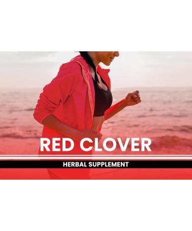 PURE ORIGINAL INGREDIENTS Red Clover (365 Capsules) No Magnesium Or Rice Fillers Always Pure Lab Verified 365 Count (Pack of 1) - Buy Online on GoSupps.com