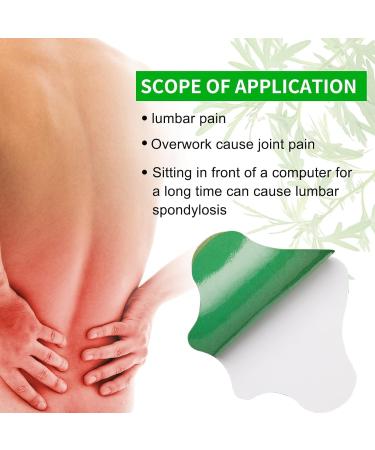 Flexiback Lumbar Spine (2 pack) - Buy Online on GoSupps.com