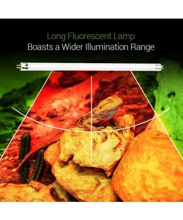 2 Pack 8W-Watt T5 HO Reptile Light Desert UVA UVB 10.0 Fluorescent Tube - 12" Terrarium Hood Light Suitable for Desert Reptile Lizards Bearded Dragons & Promotes Natural Behavior UVB Bulb 8W - 12 Inch UVB 10.0 - Buy Online on GoSupps.com