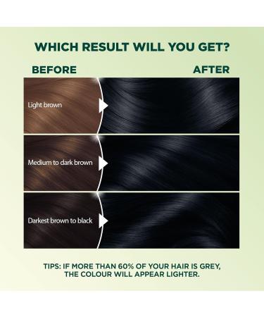 Garnier Nutrisse Ultra Cr me Permanent Hair Dye 100% Grey Coverage Vegan Formula Nourished Hair Long-Lasting Rich Colour 11 Ash Black 1 Application Packaging May Vary BLACK SHADES 11 Ash Black - Buy Online on GoSupps.com