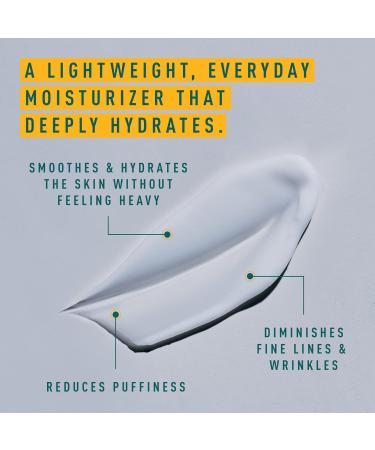 Daily Daytime Facial Moisturizer - Lightweight Hydrating Cream with Squalane | 1.7 oz - Buy Internationally - Buy Online on GoSupps.com