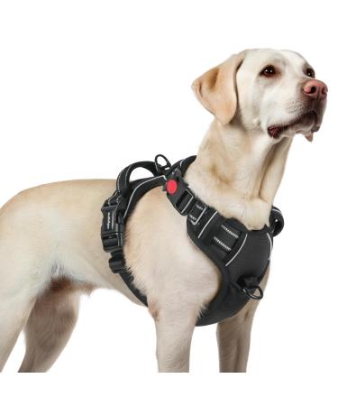 Rabbitgoo dog harness Large dogs dog harness without train adjustable dishes dog without choking anti -pull dog harness with handle soft padded reflective chest harness black L l (1 Pack) black - Buy Online on GoSupps.com