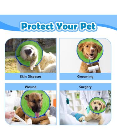 Dog Cone Collar After Surgery Adjustable Dog Cones to Stop Paw Licking Soft & Breathable Pet Recovery Collars Protective Neck Collars for Dogs and Cats Quick Healing Elizabeth Collar (Blue & Green L) - Buy Online on GoSupps.com
