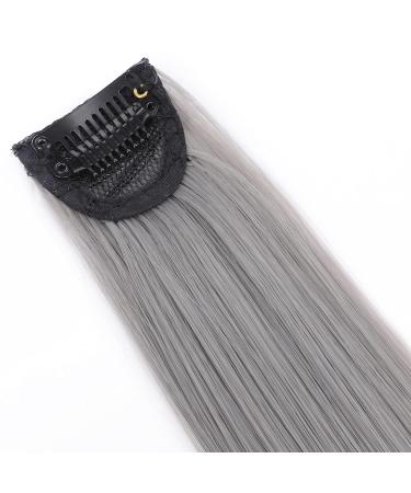 Rainbow Clip-In Hair Extensions - 24 Smooth White Tea Ash 2PCS - Premium Quality Colored Strands - Buy Online on GoSupps.com