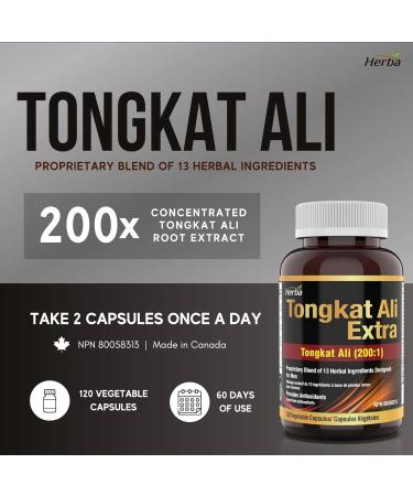 Herba Tongkat Ali Supplement for Men - 200:1 Extract 10 000mg Raw Tongkat Ali Equivalent | 120 Vegetable Capsules | Premium Tongkat Ali Extract Plus Extra | Made in Canada 120 count (Pack of 1) - Buy Online on GoSupps.com