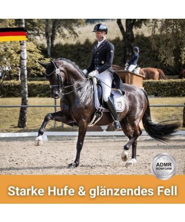 Mustax Biotin for Horses - Enhance Fur & Hoof Health with Zinc & Essential Vitamins | Expert-Developed Animal Nutrition - Buy Online on GoSupps.com