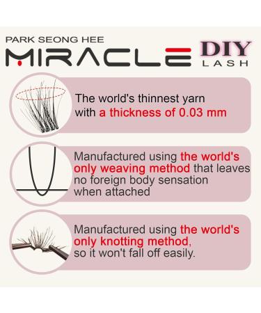 Park Sung Hee Miracle Lash DIY False Eyelashes - Lengthening 9mm-16mm Lash Clusters Contact Lens Friendly Easy to Apply Reusable Strip Lashes (E5-280 13mm - Buy Online on GoSupps.com