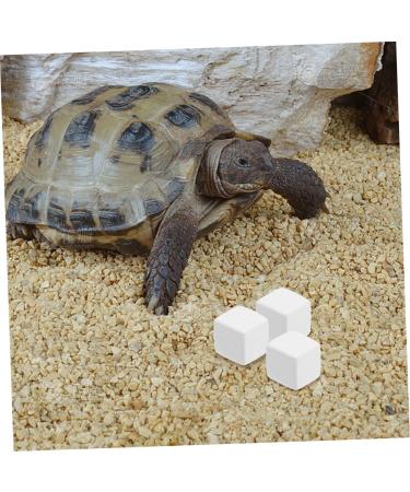 ORFOFE 12pcs Pet Mineral Hermit Crab Shells Cold Shipping Boxes White - Buy Online on GoSupps.com
