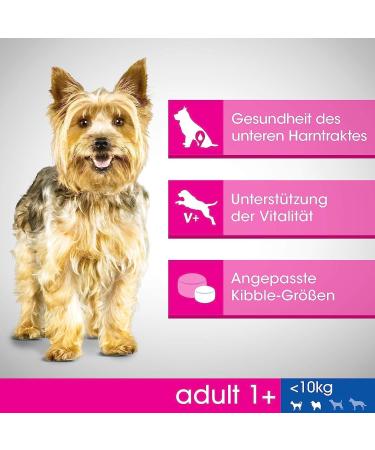 Adult 1+ Dog Food Dry food for small dogs ( 10 kg) 825 g rich in chicken to support vitality - Buy Online on GoSupps.com