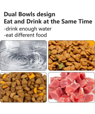 PewinGo Non-Slip Cat Bowl with Stainless Steel & Silicone Mat for Food & Water Feeding - Buy Online on GoSupps.com