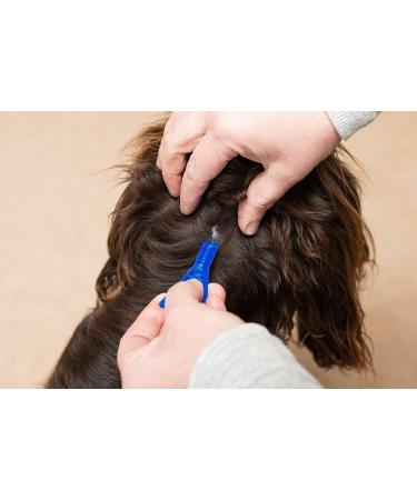 Frontline Spot On Flea Treatment For Dogs 20-40kg 1 pipettes Flea And Tick Treatment For Dogs Frontline Flea Treatment For Dogs Frontline Spot On For Dogs Frontline For Dogs - Buy Online on GoSupps.com