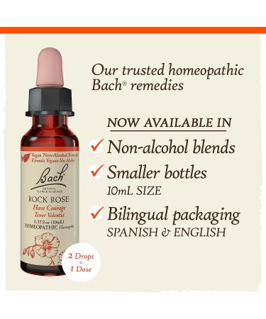 Bach Rock Rose Flower Remedy 10mL - Non-Alcohol Formula for Courage, Holistic Wellness & Stress Relief | Vegan Homeopathic Essence - Buy Online on GoSupps.com