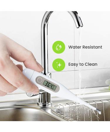 LAEEKCKC Femometer Digital Thermometers Oral Thermometer Adults Kids Babies Accurate Switchable Body Temperature Thermometer (grey) - Buy Online on GoSupps.com
