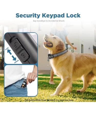 New Classic Dog Collars - Waterproof Breathable Nylon Easy to Handle All Dog Sizes - Shop Now! - Buy Online on GoSupps.com