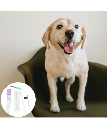 Yardwe Dog Pregnancy Test Kit | Rapid Relaxin Canine Pregnancy Test Strip for Home & Clinic | Fast, Accurate & Easy to Use Results - Buy Online on GoSupps.com