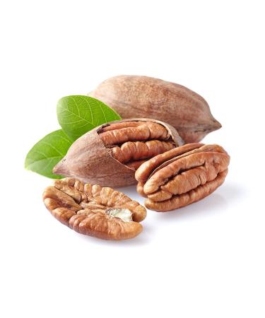 Anna and Sarah Premium Raw Georgian Pecans in Shell 4.5lbs - Fresh and Natural (Pack of 1) - Buy Online on GoSupps.com