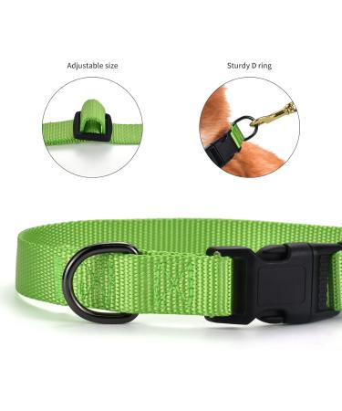 Audwud Thick Nylon Dog Collar | Adjustable & Classic | Neon Green | Sizes S-XL for Small Medium & Large Dogs - Buy Online on GoSupps.com