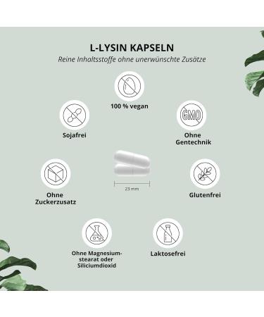 High Dose L-Lysine Capsules 2200mg - Vegan Amino Acid for Collagen & Connective Tissue - 120 Caps - Pure L-Lysine HCL - Laboratory Tested - Buy Online on GoSupps.com