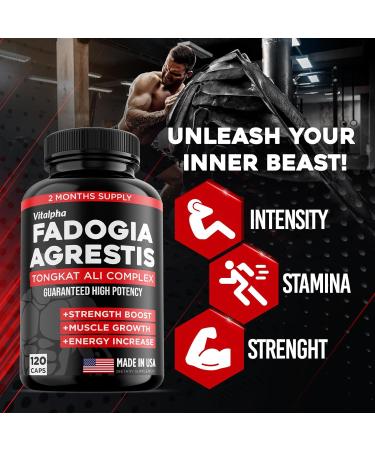 600mg Fadogia Agrestis & 400mg Tongkat Ali - Maximum Strength Supplement for Muscle & Athletic Performance - 120 V-Caps - Buy Online on GoSupps.com