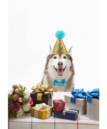 Christmas Pet Party Jazz Hat and Bow Tie Set for Small Dogs and Cats - Light Blue - Buy Online on GoSupps.com