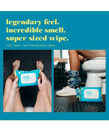 Goodwipes Flushable & Biodegradable Wipes with Botanicals | 180 Count (3 Packs) | Shea-Coco with Aloe | At-Home Use Safe | Septic-Sewer Safe - Buy Online on GoSupps.com