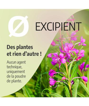 Epilobe 200 mg - 200 capsules - Orgaliane - Buy Online on GoSupps.com