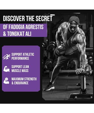 Fadogia Agrestis Tongkat Ali Supplement - Fadogia Agrestis 1400mg & Tongkat Ali 1000mg Ultra Blend Maximum Strength Muscle Mass & Athletic Performance 60 Softgels - Buy Online on GoSupps.com
