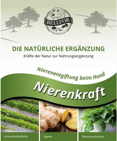 Bellfor Kidney Force Powder for Dogs 80g - Natural Kidney Support & Detox Supplement - Buy Online on GoSupps.com